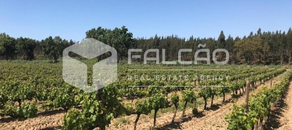 Terreno en Azambuja, Portugal 23488 m² No. 39530 11