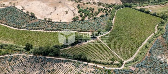 Terreno en Azambuja, Portugal 23488 m² No. 39530 23