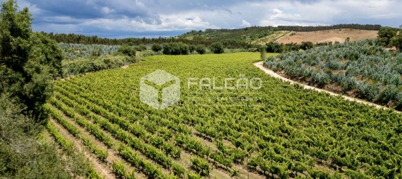 Terreno en Azambuja, Portugal 23488 m² No. 39530 40