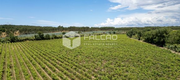 Terreno en Azambuja, Portugal 23488 m² No. 39530 29