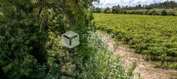 Terreno en Azambuja, Portugal 23488 m² No. 39530 41