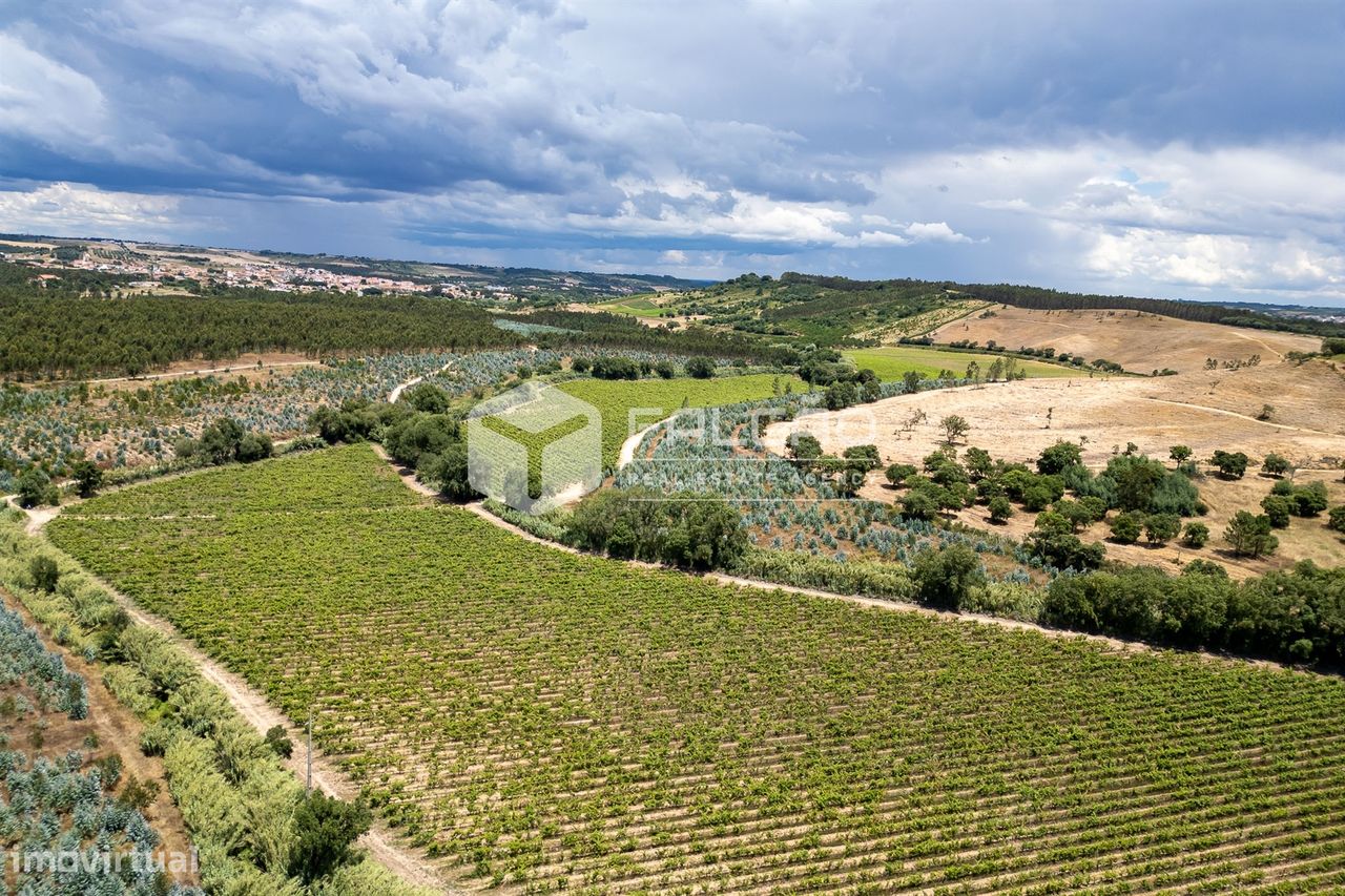 Terreno en Azambuja, Portugal 23488 m² No. 39530