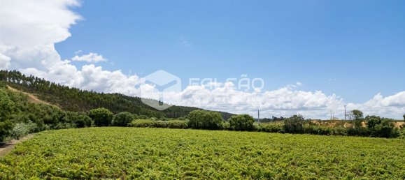 Terreno en Azambuja, Portugal 23488 m² No. 39530 34
