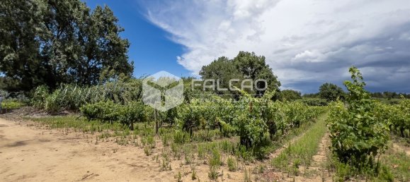 Terreno en Azambuja, Portugal 23488 m² No. 39530 6