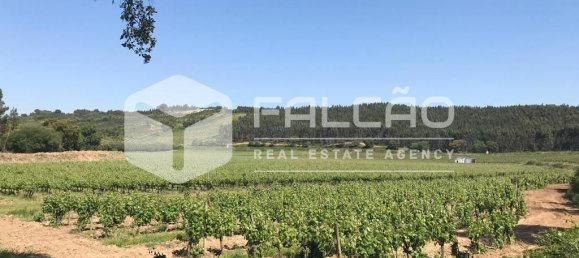 Terreno en Azambuja, Portugal 23488 m² No. 39530 12