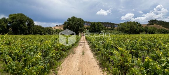Terreno en Azambuja, Portugal 23488 m² No. 39530 46