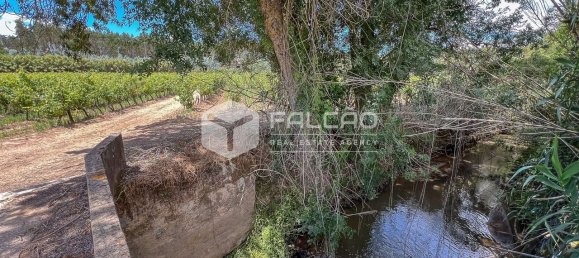 Terreno en Azambuja, Portugal 23488 m² No. 39530 47