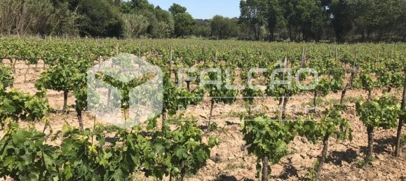 Terreno en Azambuja, Portugal 23488 m² No. 39530 10