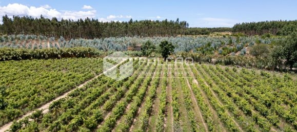Terreno en Azambuja, Portugal 23488 m² No. 39530 35