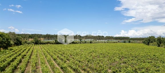 Terreno en Azambuja, Portugal 23488 m² No. 39530 30