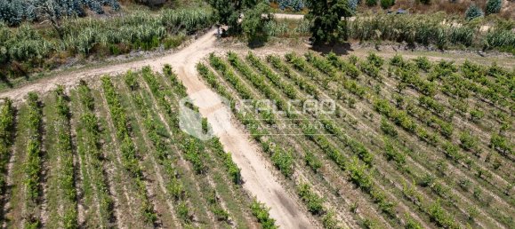Terreno en Azambuja, Portugal 23488 m² No. 39530 39