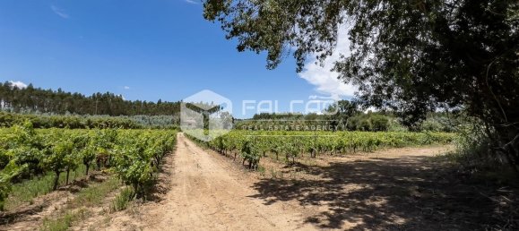 Terreno en Azambuja, Portugal 23488 m² No. 39530 8