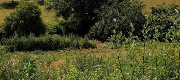 Grundstück in Main-Kinzig, Germany, Nr. 217870 2