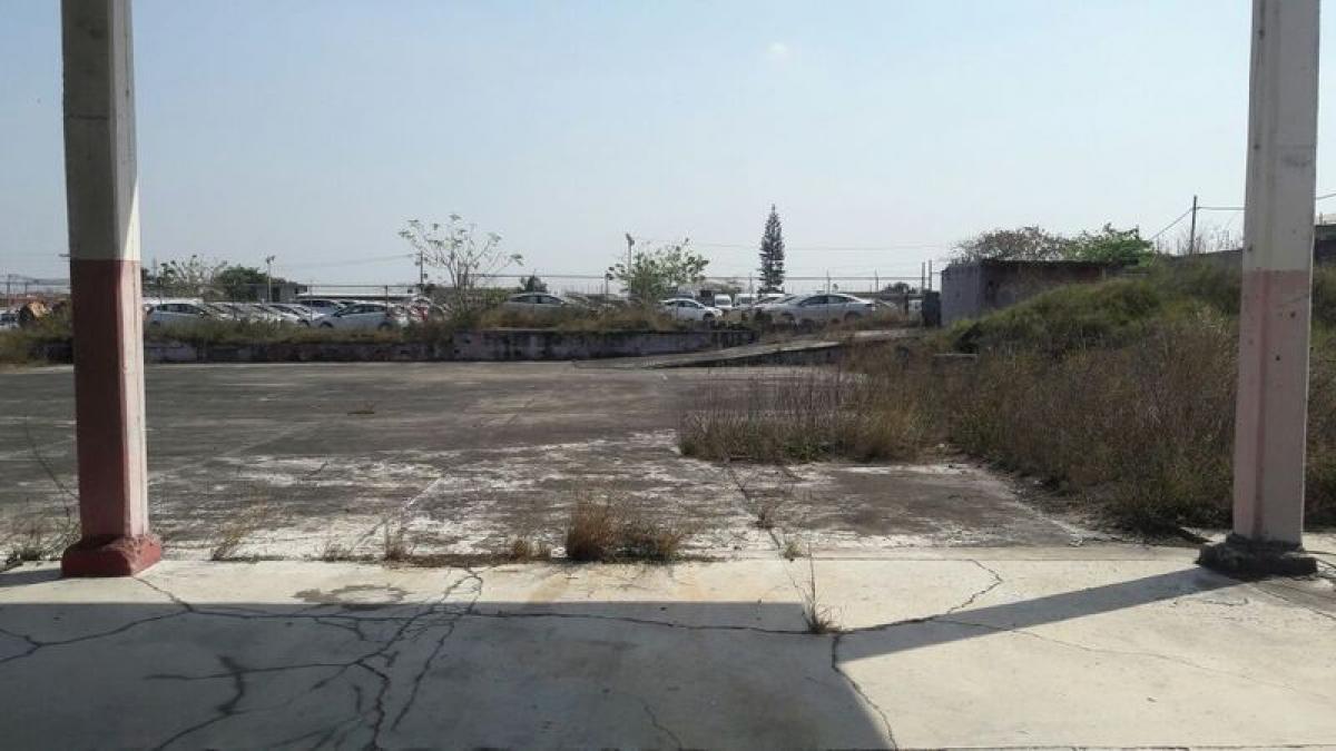  Land in Veracruz, Mexico No. 205535