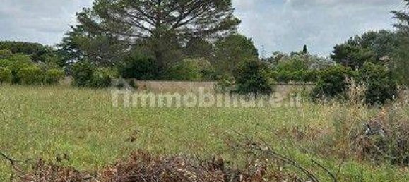  قطعة أرض في Galatina, Italy 3548متر مربع رقم 330017 6