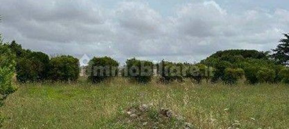  قطعة أرض في Galatina, Italy 3548متر مربع رقم 330017 4