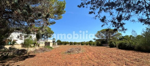  قطعة أرض في Galatina, Italy 3548متر مربع رقم 330017 9