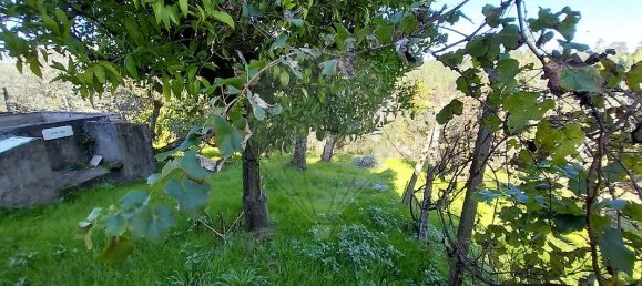 2 bedrooms House in Serta, Portugal No. 37548 18