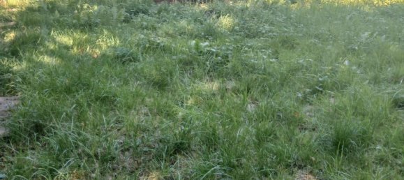  Land in Rems-Murr-Kreis, Germany No. 287202 4