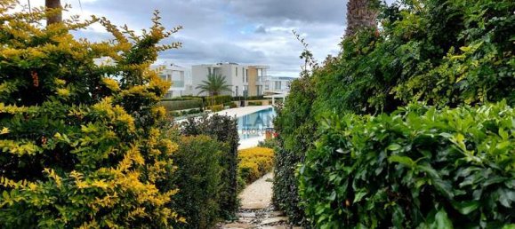 3 bedrooms Villa in Pegeia, Cyprus No. 13746 2