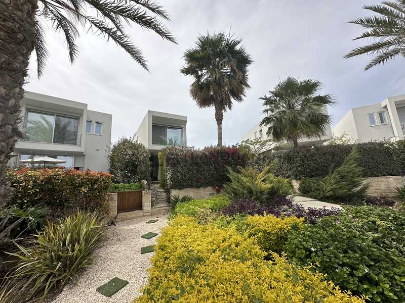 3 bedrooms Villa in Pegeia, Cyprus No. 13746