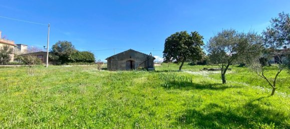 Studio in Zagarolo, Italy, Nr. 8712 26