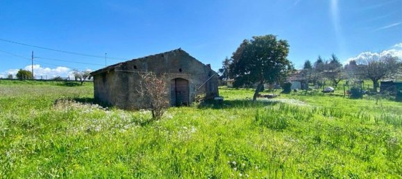 Studio in Zagarolo, Italy, Nr. 8712 4