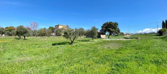 Studio in Zagarolo, Italy, Nr. 8712 50