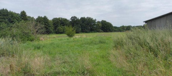 8 rooms House in Wittenberg, Germany No. 309876 10