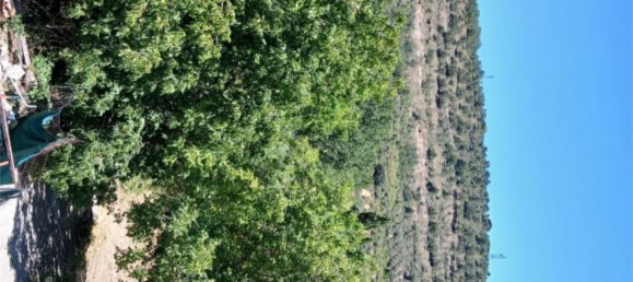 3 غرف نوم منزل في Guadalajara, Spain رقم 191461 45