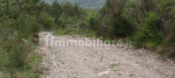 239150m² Land in Santa Fiora, Italy No. 250925 4