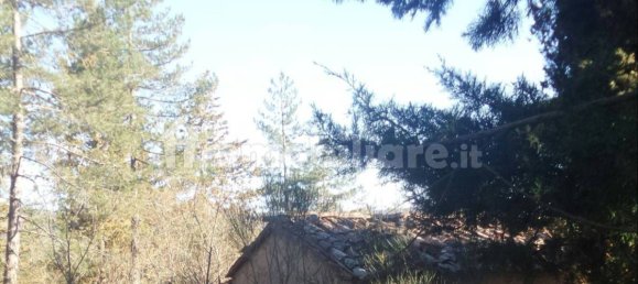 Grundstück in Santa Fiora, Italy 239150m², Nr. 250925 17