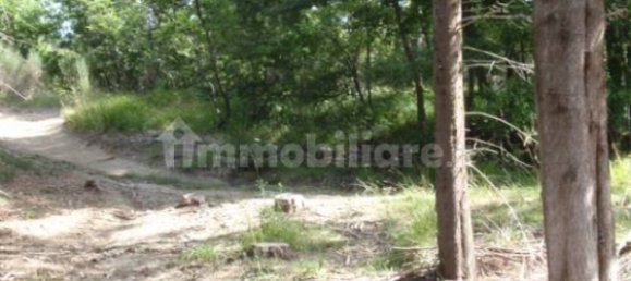 239150m² Land in Santa Fiora, Italy No. 250925 11