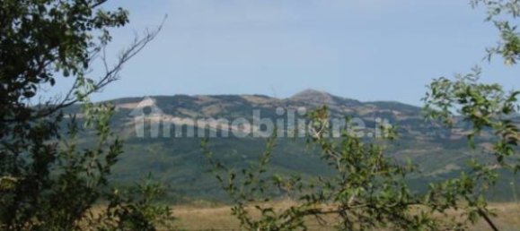239150m² Land in Santa Fiora, Italy No. 250925 7