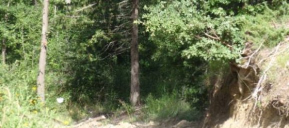 239150m² Land in Santa Fiora, Italy No. 250925 12