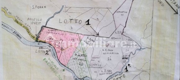 239150m² Land in Santa Fiora, Italy No. 250925 16