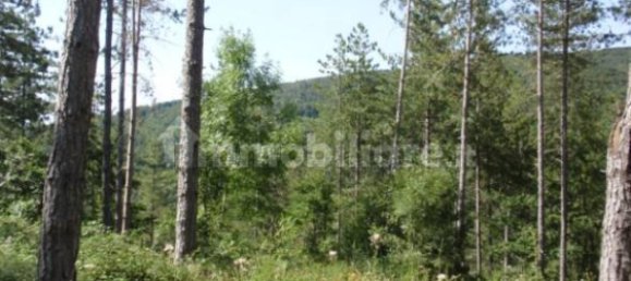 239150m² Land in Santa Fiora, Italy No. 250925 8