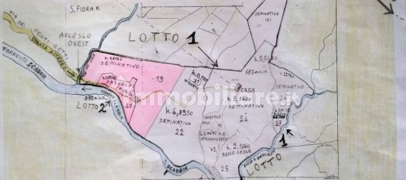 239150m² Land in Santa Fiora, Italy No. 250925 15