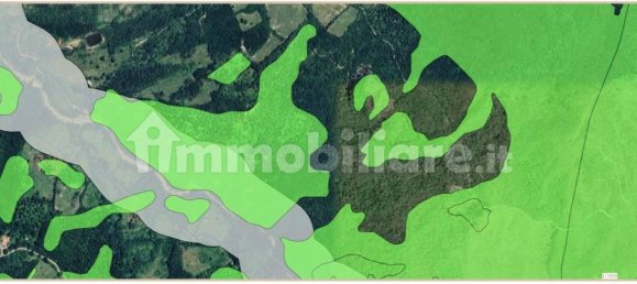 239150m² Land in Santa Fiora, Italy No. 250925 2