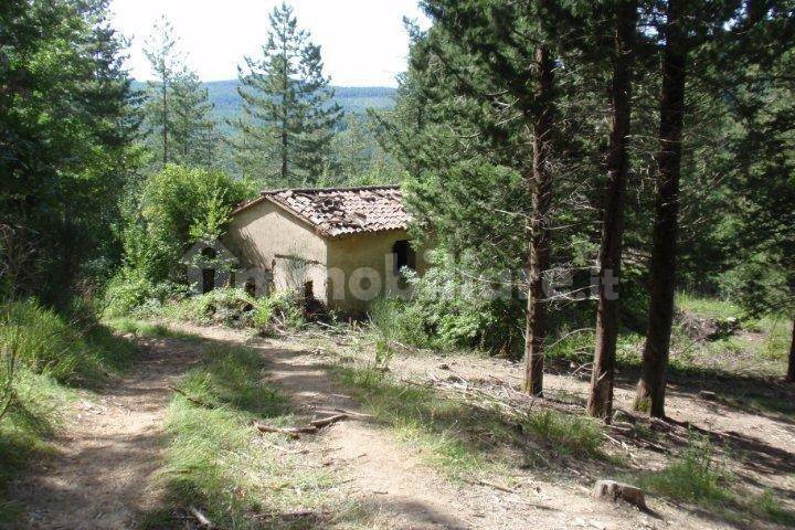 239150m² Land in Santa Fiora, Italy No. 250925