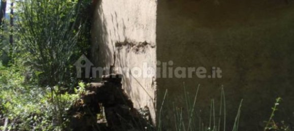 Grundstück in Santa Fiora, Italy 239150m², Nr. 250925 18