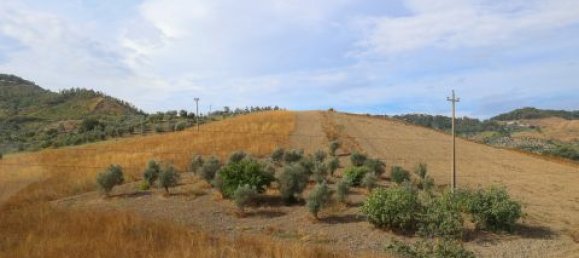 Apartamento de 3 dormitorios en San Floro, Italy No. 140492 7