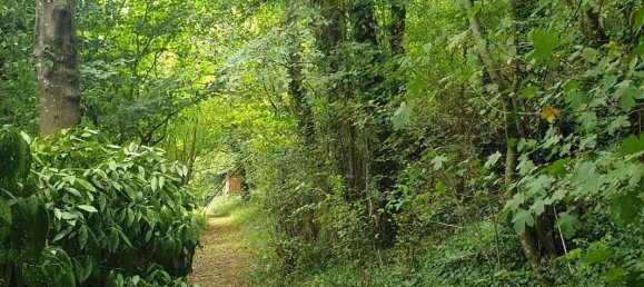 4 Schlafzimmer Haus in Eure, France, Nr. 356072 13