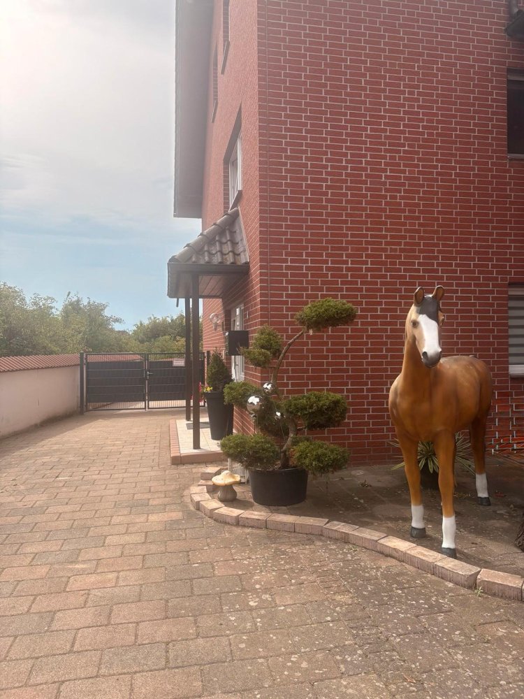 4 chambres Appartement à Hoxter, Germany No. 283442