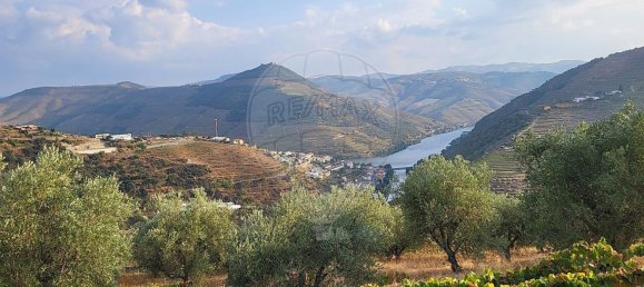 Casa de 2 dormitorios en Sabrosa, Portugal No. 21583 2