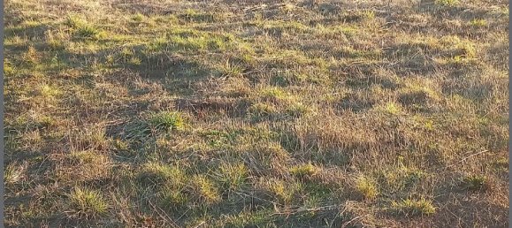 Terreno en Raville, France No. 215741 3