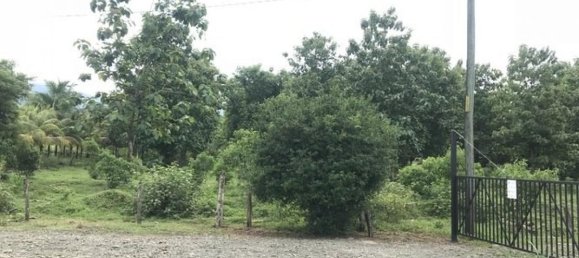 Terreno en Parrita, Costa Rica No. 1807 4
