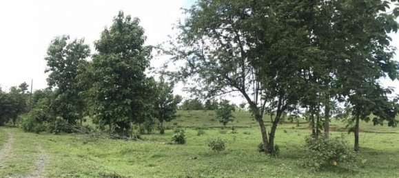 Terreno en Parrita, Costa Rica No. 1807 6