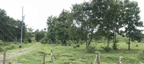 Terreno en Parrita, Costa Rica No. 1807 3