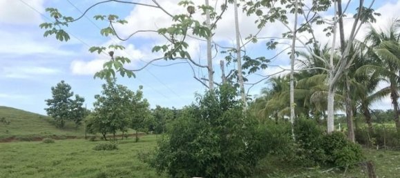 Terreno en Parrita, Costa Rica No. 1807 5